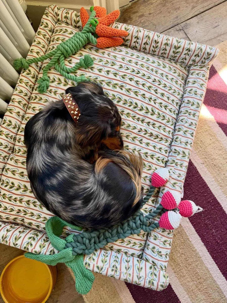 The Roy Dog Bed In Your Choice of Fabric