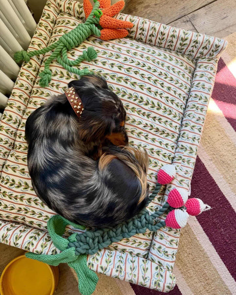The Roy Dog Bed In Your Choice of Fabric