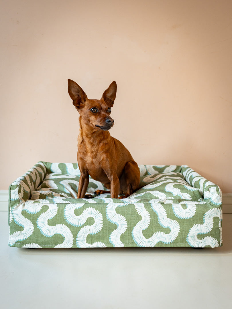 The Roy Dog Bed In Your Choice of Fabric