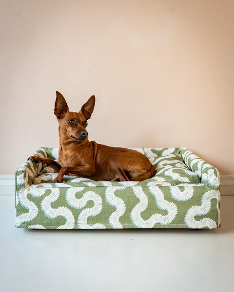 The Roy Dog Bed In Your Choice of Fabric