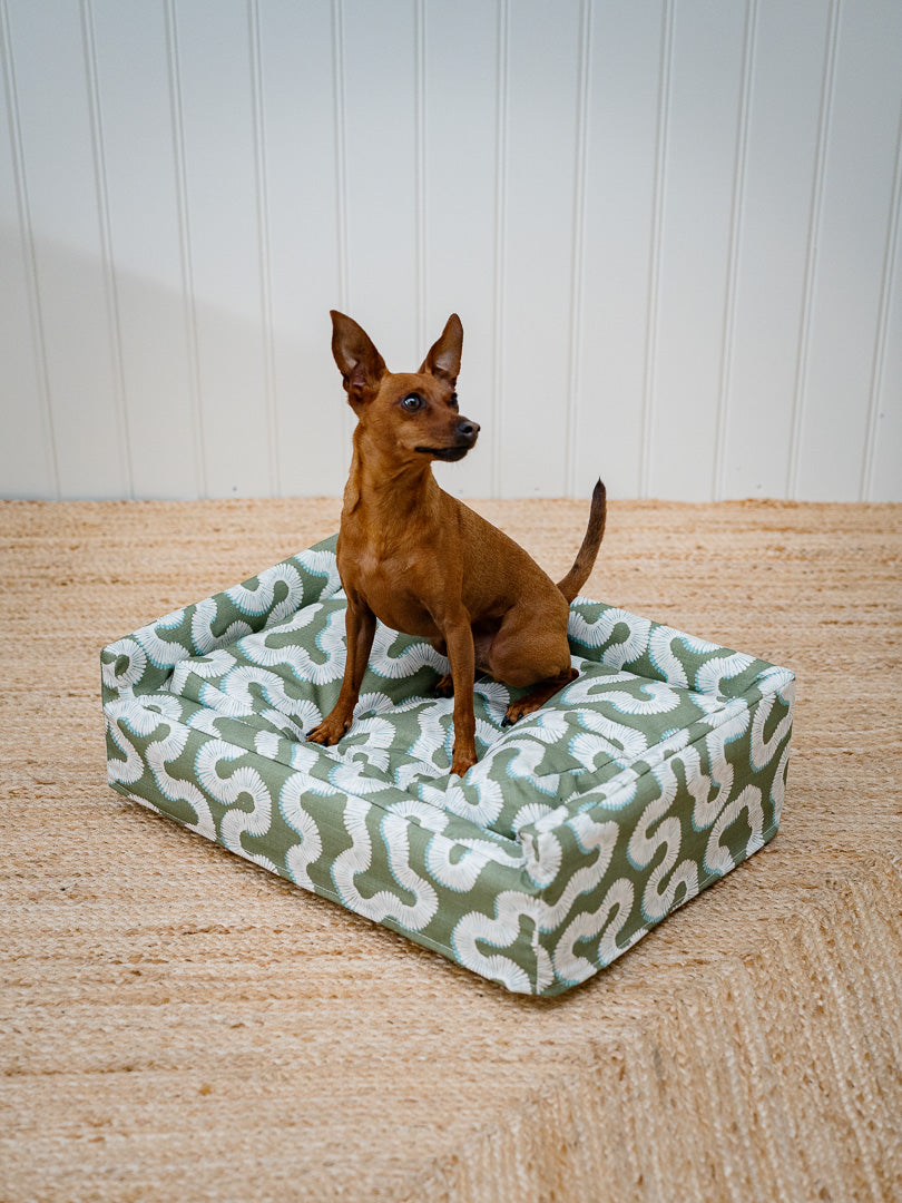 The Roy Dog Bed In Your Choice of Fabric