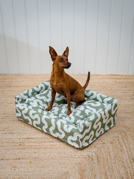The Roy Dog Bed In Your Choice of Fabric