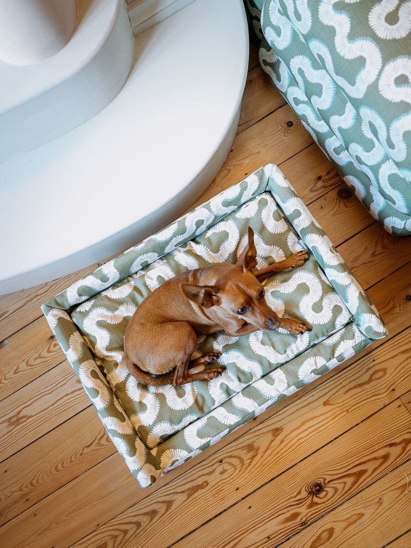 The Roy Dog Bed In Your Choice of Fabric
