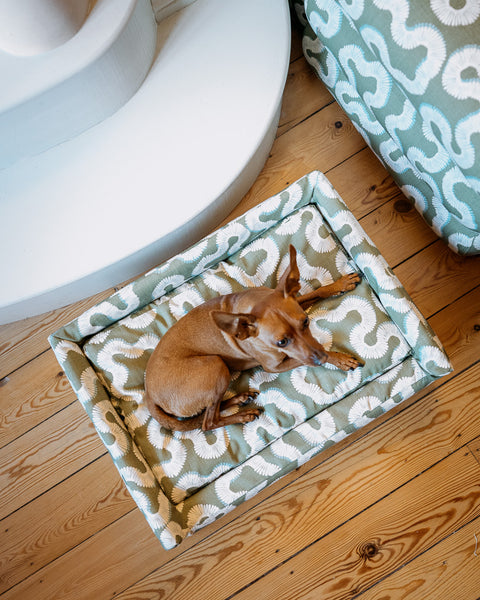 The Roy Dog Bed In Your Choice of Fabric
