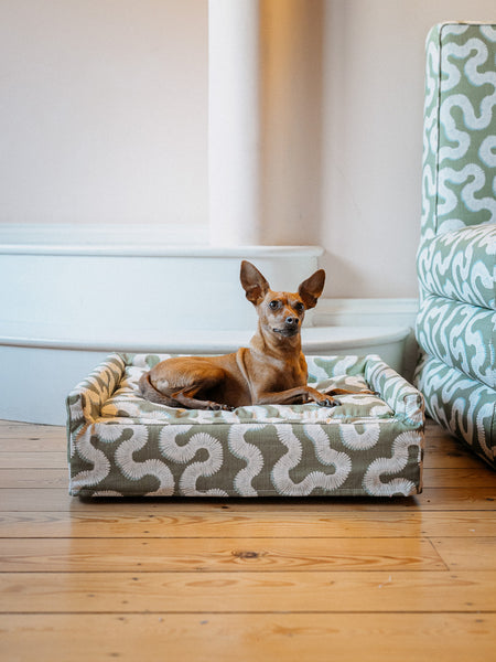 The Roy Dog Bed In Your Choice of Fabric