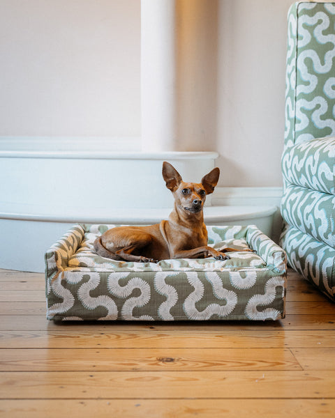 The Roy Dog Bed In Your Choice of Fabric