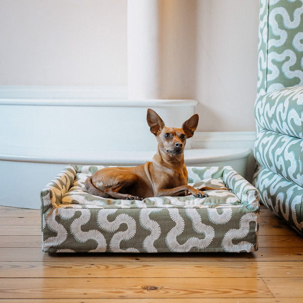 The Roy Dog Bed In Your Choice of Fabric